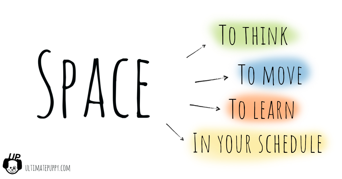 why you should give your dog more space