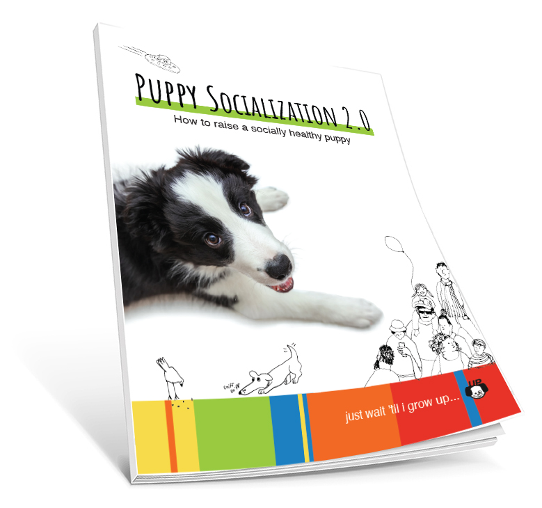 3D socialization 2.0 book cover