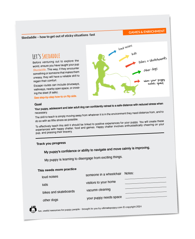 image of skedaddle handout