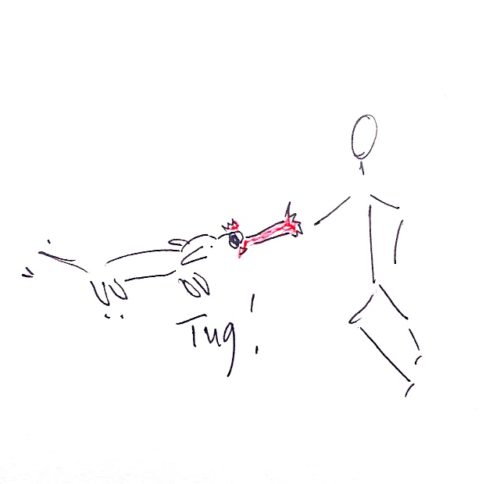 time your tug games. line drawing of puppy and person playing tug