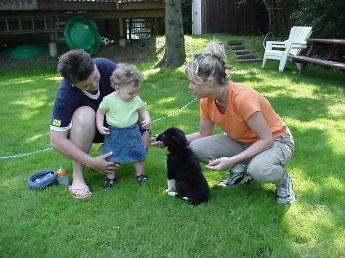 Dog trainer introduces eight week old puppy to two year old baby girl while her mother watches