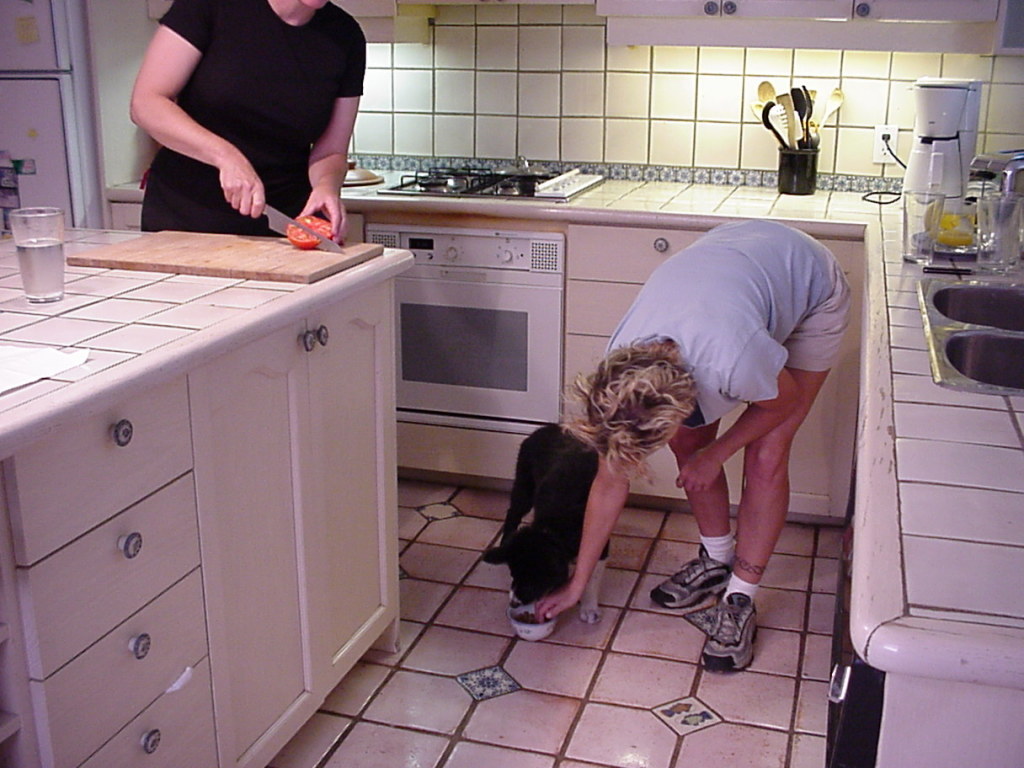 pup in kitchen w: people