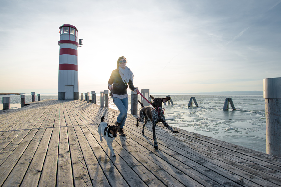 woman running on dock with a lighthouse in the background. She is running towards viewer and has a dog on either side of her running along in a carefree manner.