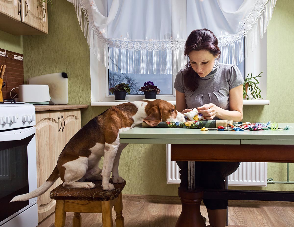 A young woman sits at a table doing needlepoint while a beagle sits next to her on a chair with his head resting on the table while watching her work.