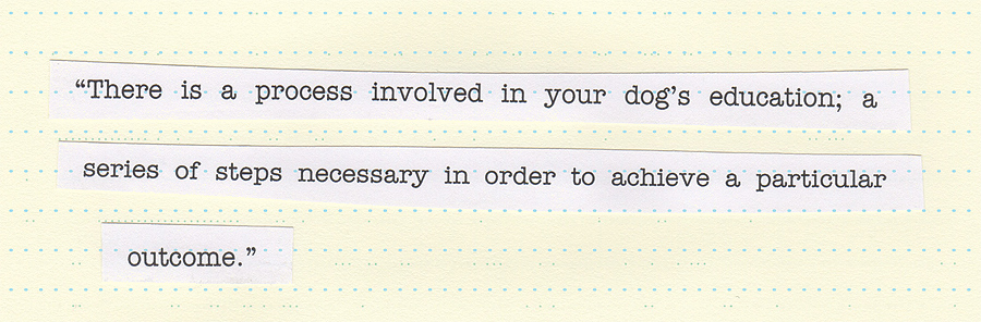 “There is a process involved in your dog’s education; a series of steps necessary in order to achieve a particular outcome.”