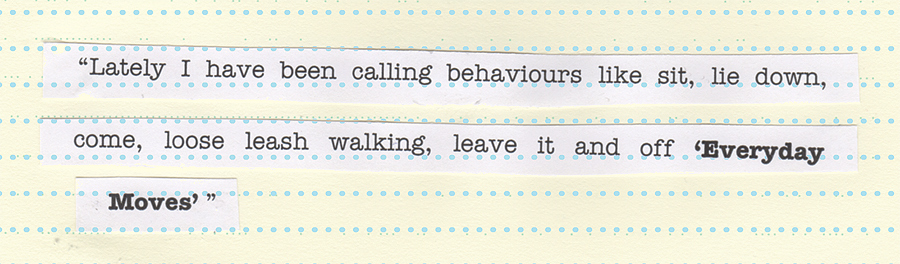 “Lately I have been calling behaviours like sit, lie down, come, loose leash walking, leave it and off ‘Everyday Moves’ ”