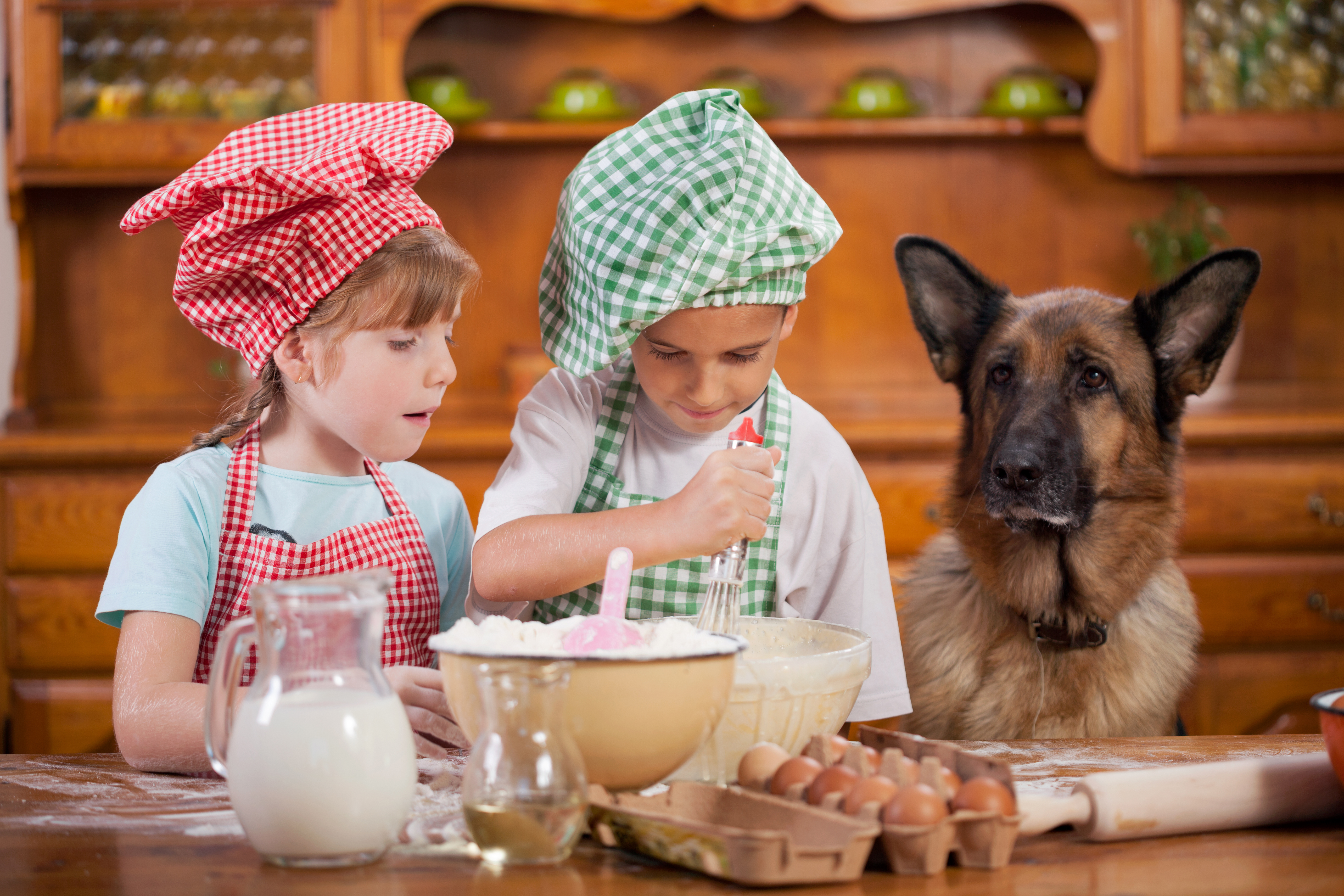 Two young girls, about 5 or 6 years old, are in the kitchen baking. Beside them, sitting quietly and watching on is an adult german shepherd.