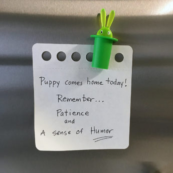 Note for fridge. There are two things we want you to always keep in mind as you raise this puppy. Patience and a sense of humor; write this on a piece of paper and put it on the refrigerator.