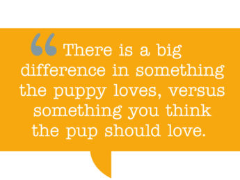 pull quote: “There is a big difference in something the puppy loves, versus something you think the pup should love.”