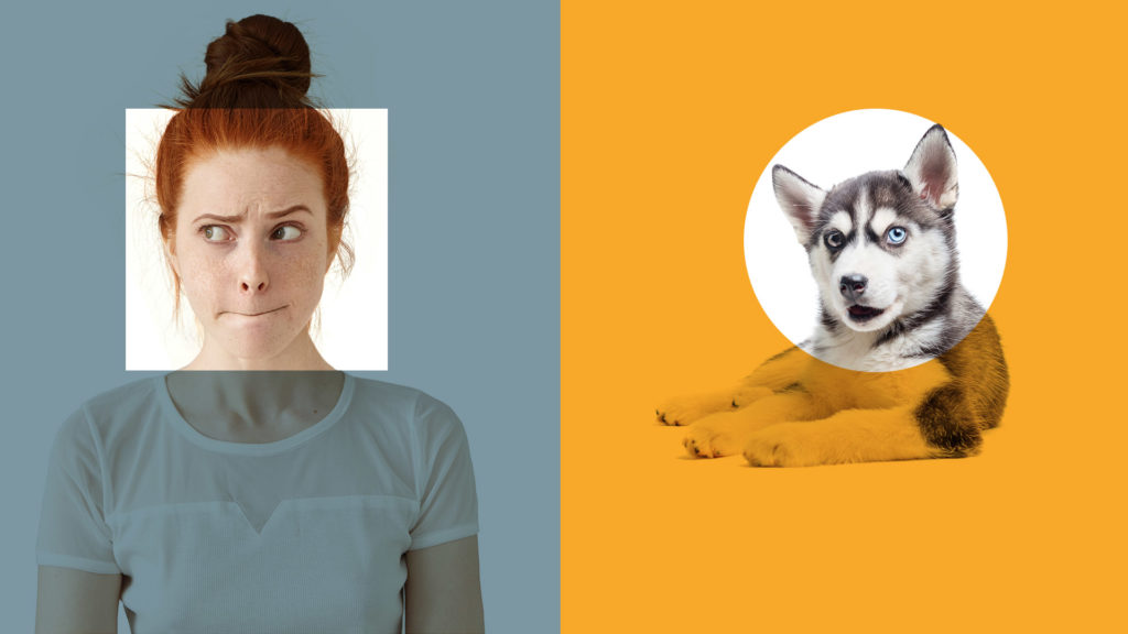 A woman on the left looks confused while a husky puppy on the right looks directly at the camera