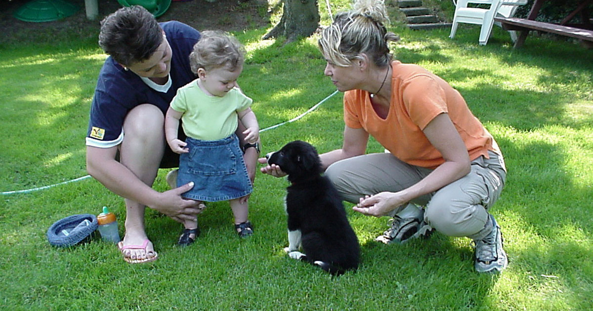 Puppy meets baby