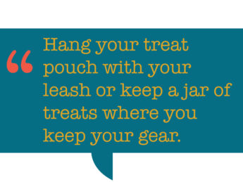 pull quote: Hang your treat pouch with your leash or keep a jar of treats where you keep your gear.