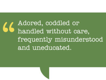 pull quote reads: Adored, coddled or handled without care, frequently misunderstood and uneducated.