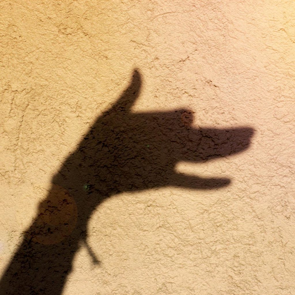 a hand shadow of a dog