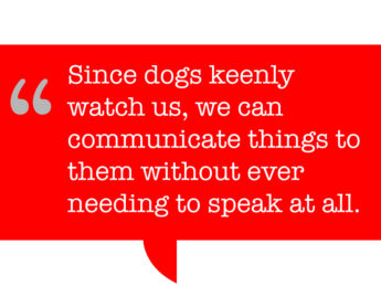 pull quote says: Since dogs keenly watch us, we can communicate things to them without ever needing to speak at all