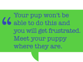 Pull quote: “Your pup won't be able to do this and you will get frustrated. Meet your puppy where they are.”