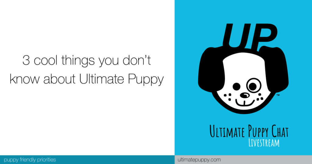 3 cool things you don’t know about Ultimate Puppy