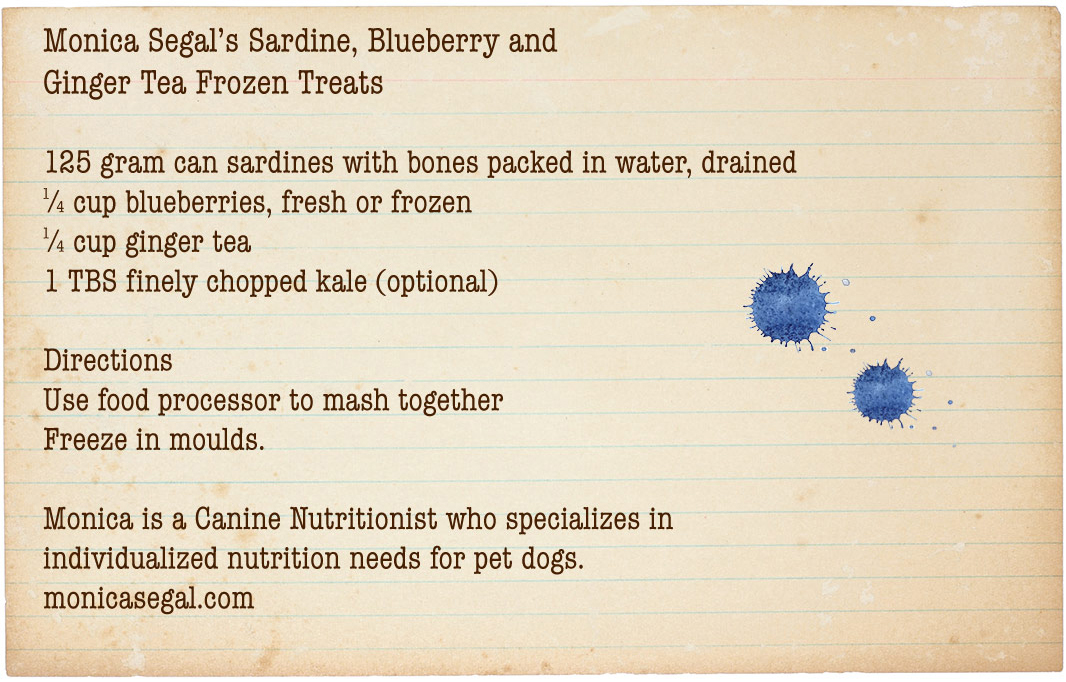 Monica Segal’s Sardine, Blueberry and Ginger Tea Frozen Treats Recipe