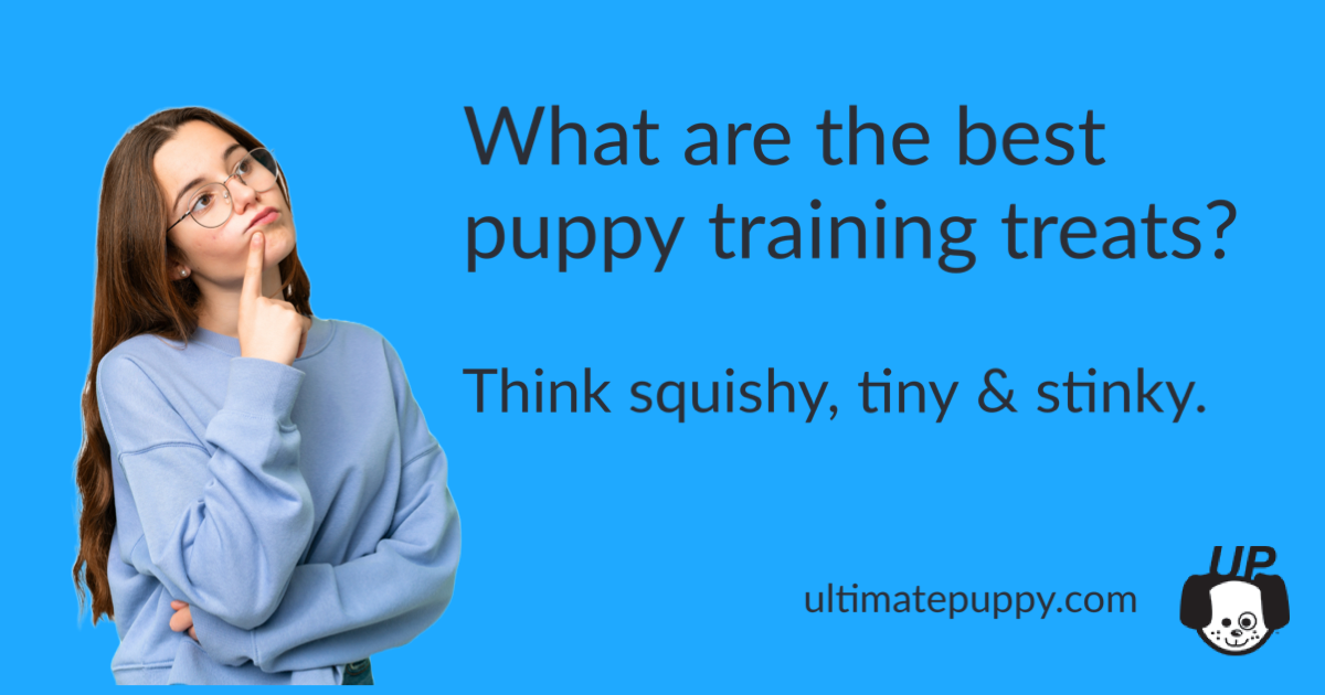 What Are The Best Puppy Training Treats? • Ultimate Puppy Ultimate Puppy